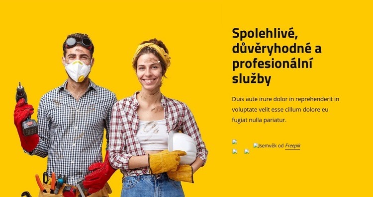 Spolehlivé a profesionální služby Šablona CSS