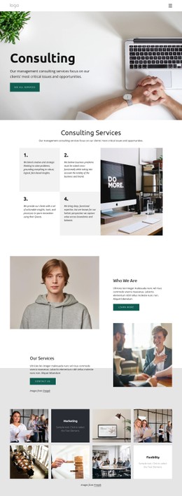 Business Consultant Company Basic Html Template With CSS