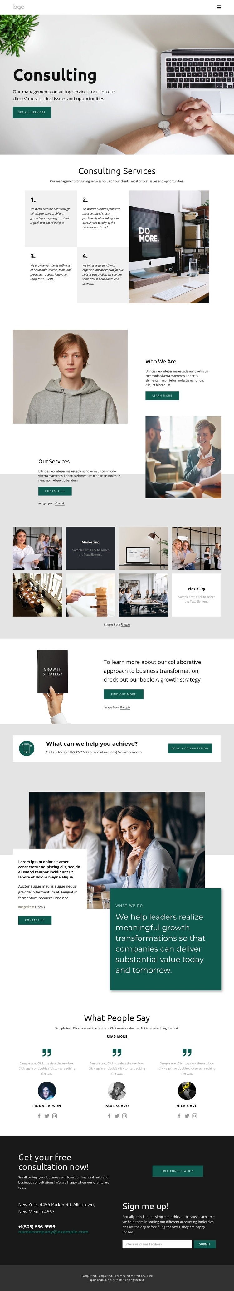 Business consultant company Homepage Design