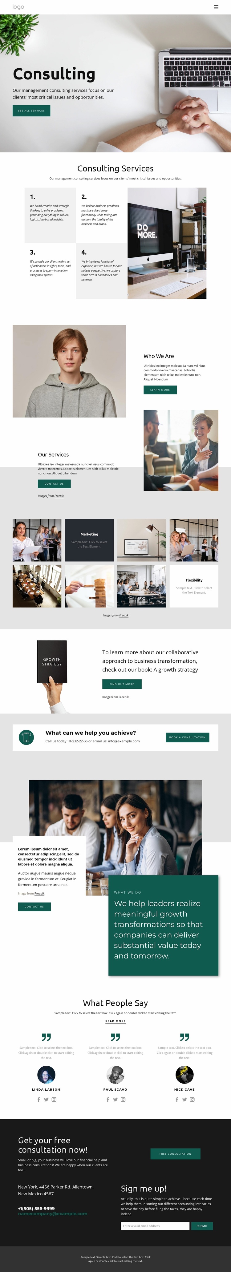 Business consultant company Landing Page