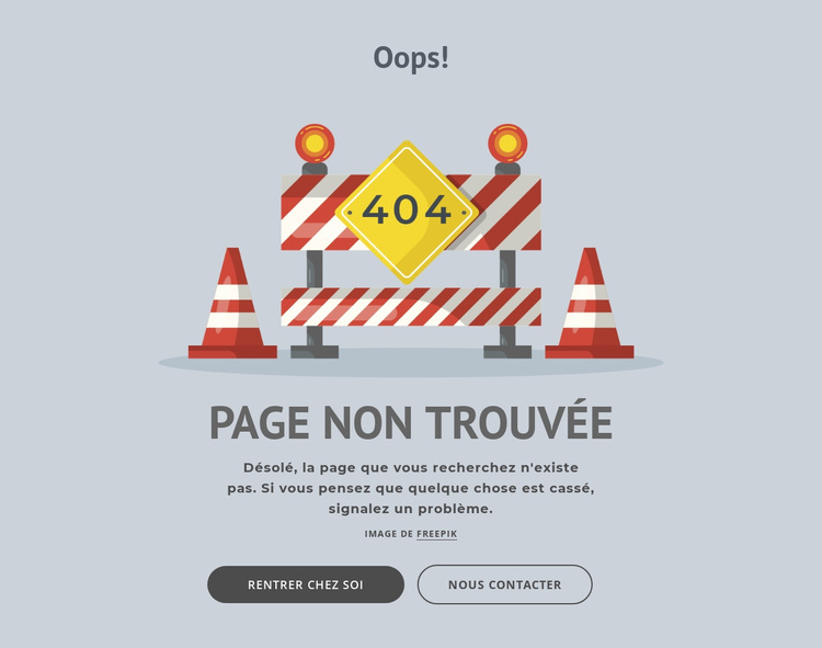 Page d'erreur 404 Thème WordPress