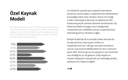 Metin Ve Grafikleri Bölme - Premium WordPress Teması