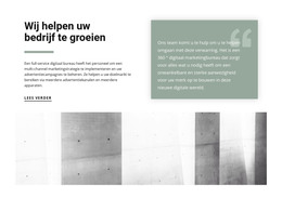 Onschatbare Zakelijke Tips - Sjabloon Voor Websitebouwer