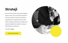 İş Stratejisi Haberleri - En Iyi Web Sitesi Modeli