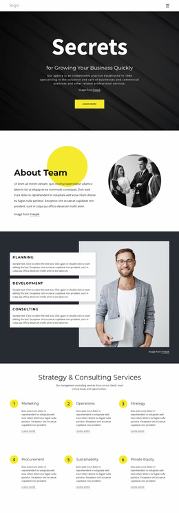 Secrets Of Growing Business - Professional Website Template