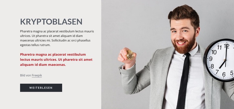 Kryptoblasen Website-Modell