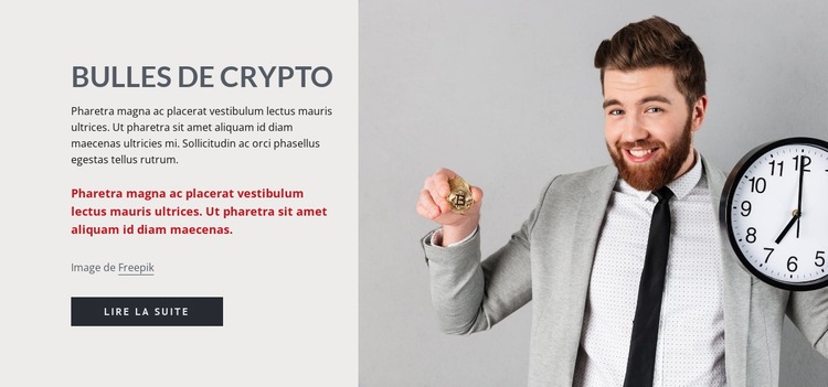 Bulles de crypto Conception de site Web