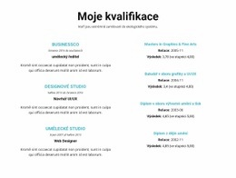 Shrnutí Kvalifikací – Téma WordPress A WooCommerce