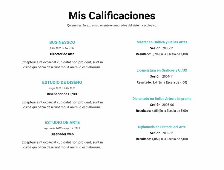 Resumen de calificaciones Diseño de páginas web