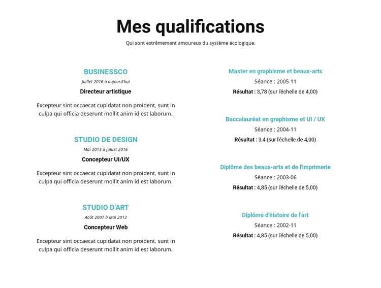 Résumé de qualifications Conception de site Web