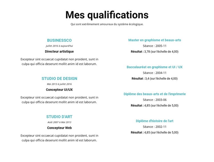 Résumé de qualifications Maquette de site Web