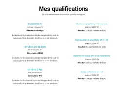 Résumé De Qualifications Modèle De Mise En Page CSS