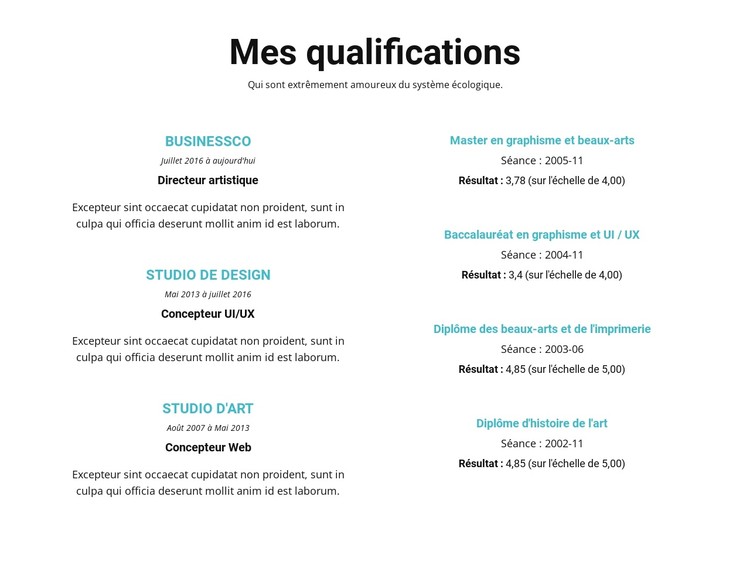 Résumé de qualifications Modèle CSS