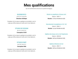 Résumé De Qualifications