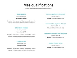 Résumé De Qualifications