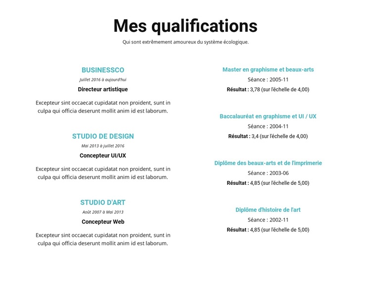 Résumé de qualifications Thème WordPress