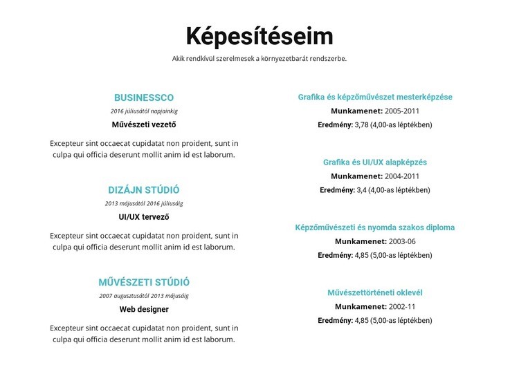 Képesítés összegzése WordPress Téma