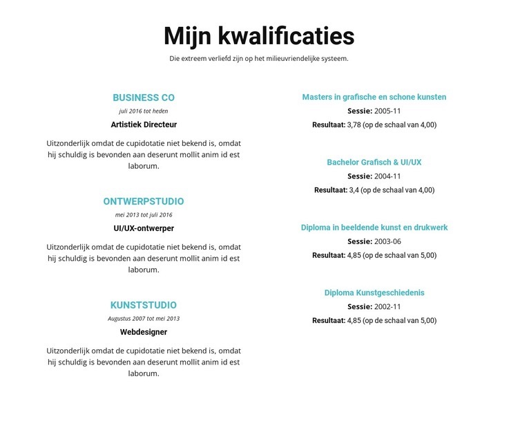 Samenvatting van kwalificaties Bestemmingspagina