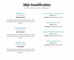 Samenvatting Van Kwalificaties