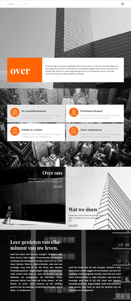 Nieuwe Projecten Studio - Functionaliteit WordPress-Thema