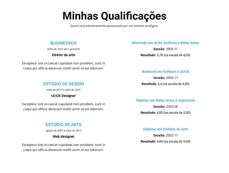 Sumário de qualificações Construtor de sites HTML