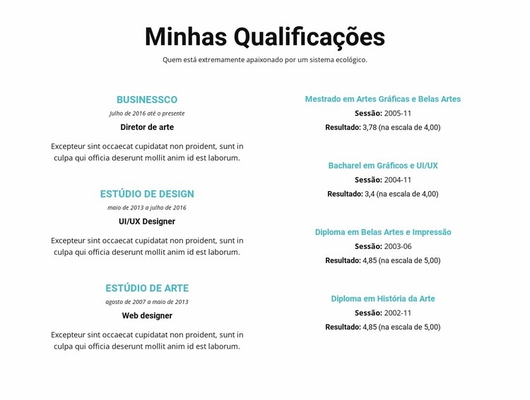 Sumário de qualificações Design do site