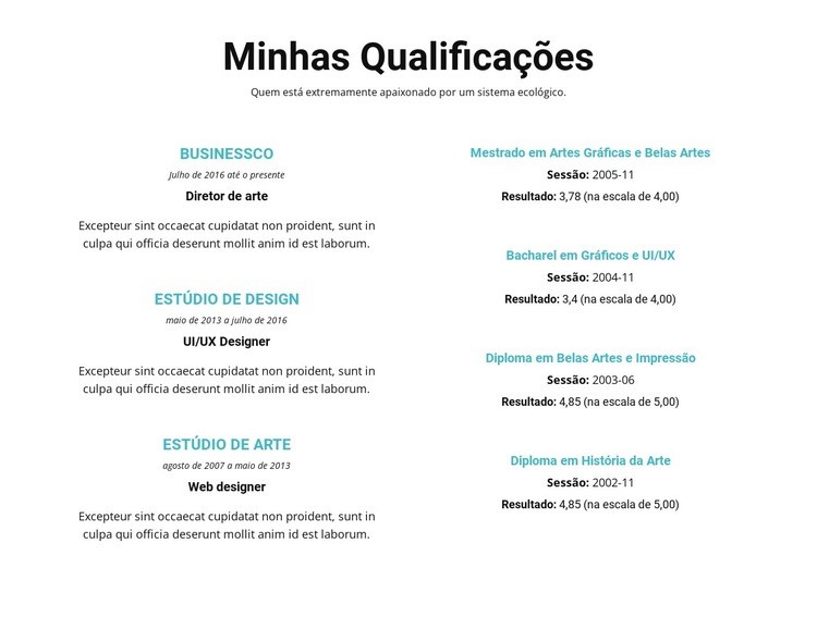 Sumário de qualificações Modelo