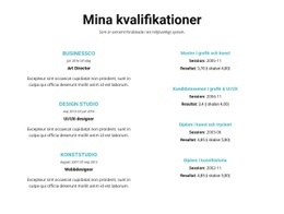 Sammanfattning Av Kvalifikationer - Professionell Webbplatsmall