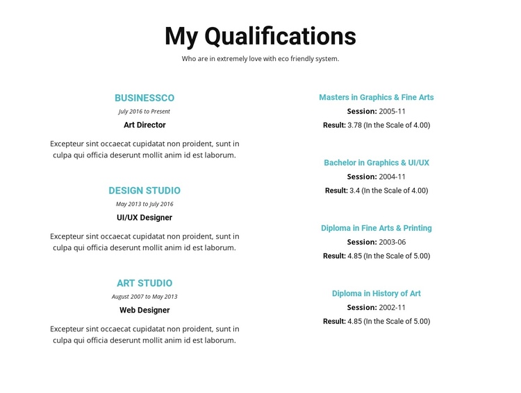 Summary of qualifications Website Builder Software