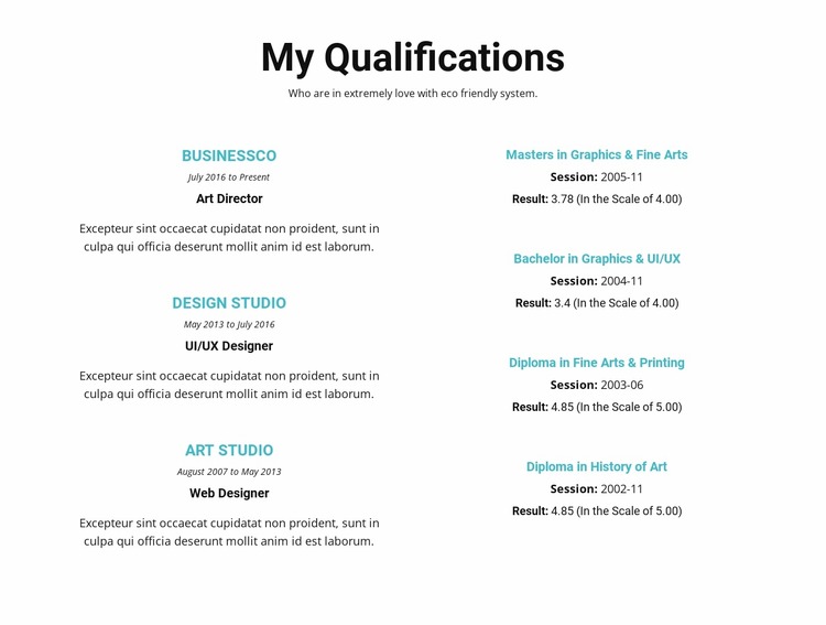 Summary of qualifications WordPress Website Builder