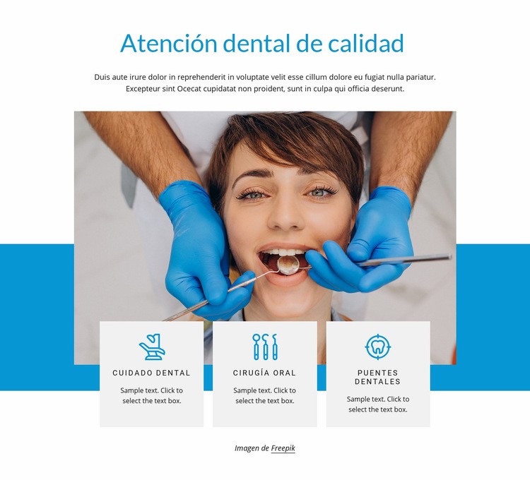 Cuidado dental de calidad Maqueta de sitio web
