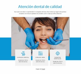 Cuidado Dental De Calidad