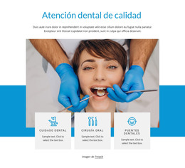 Cuidado Dental De Calidad: Plantilla De Página HTML