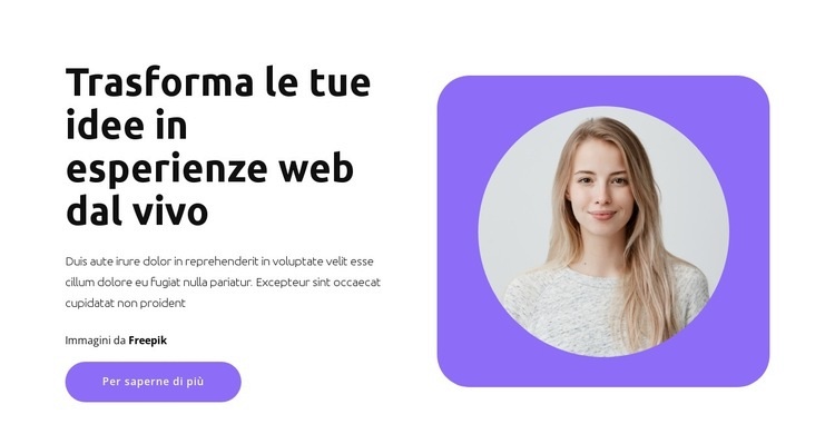 Esperto di promozione Modello HTML5