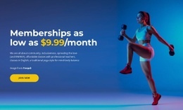 Price Code Realistic Straightforward pricing - Html Code Example by Nicepage