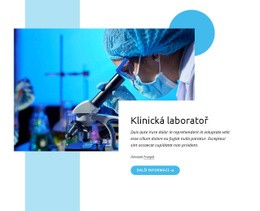 Špičková Klinická Laboratoř – Bezplatný Návrh Webových Stránek