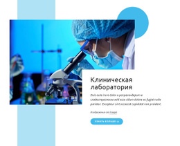 Лучшая Клиническая Лаборатория – Бесплатный Дизайн Сайта