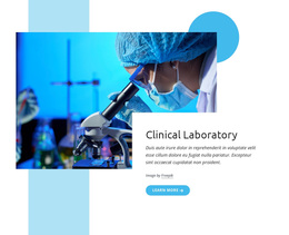 Top Clinical Laboratory - Free Website Design