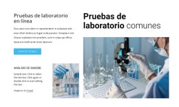 Pruebas De Laboratorio Habituales - Creador Del Sitio Web