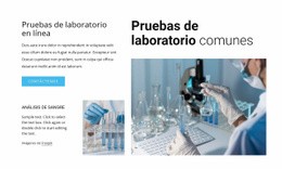 Pruebas De Laboratorio Habituales - HTML Writer