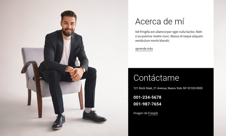 Soy un consultor de marca Creador de sitios web HTML