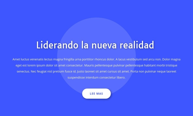 Liderando la nueva realidad Diseño de páginas web