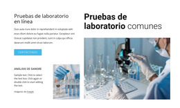 Pruebas De Laboratorio Habituales - Plantilla De Una Página