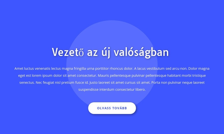 Vezető az új valóságban Weboldal tervezés