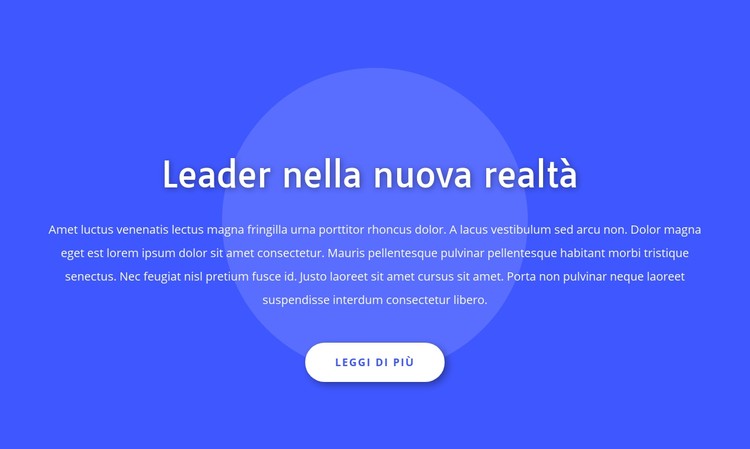 Leader nella nuova realtà Modello CSS