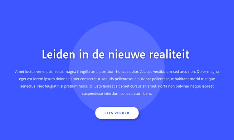 Leiden in de nieuwe realiteit WordPress-thema