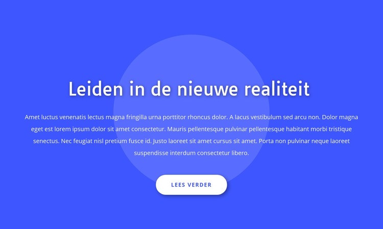 Leiden in de nieuwe realiteit Website mockup