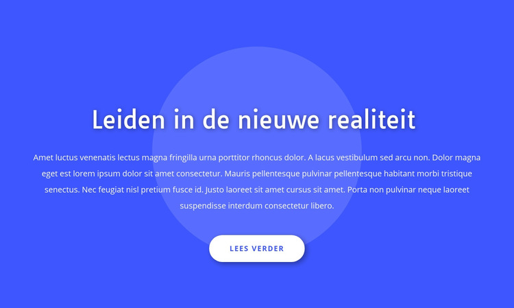 Leiden in de nieuwe realiteit Website sjabloon