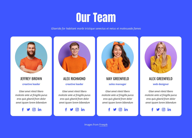 Our professional team One Page Template