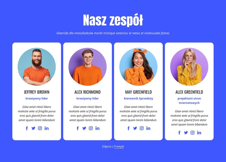 Nasz profesjonalny zespół Szablon CSS